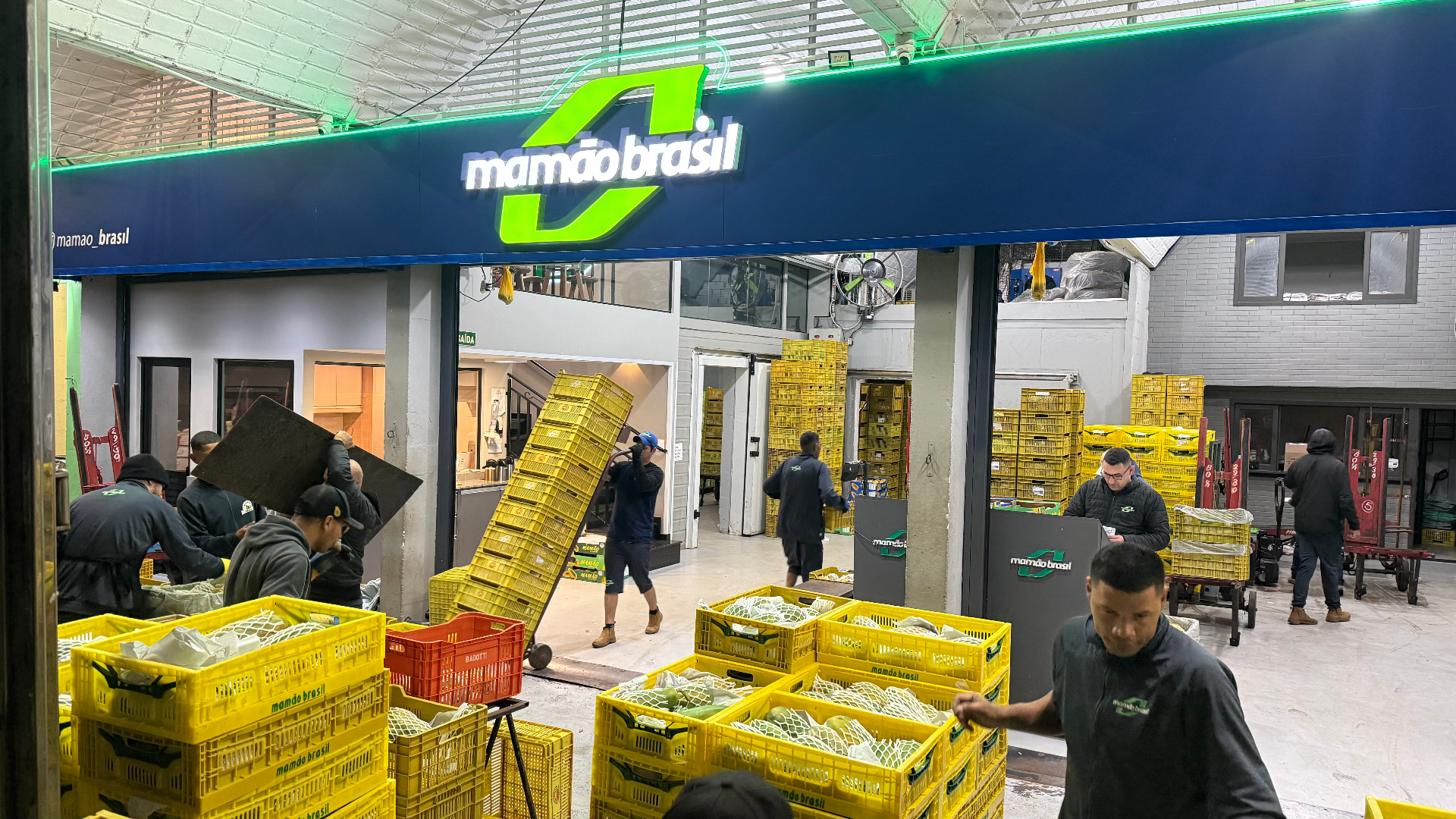Operação diária na loja Mamão Brasil no CEASA-PR